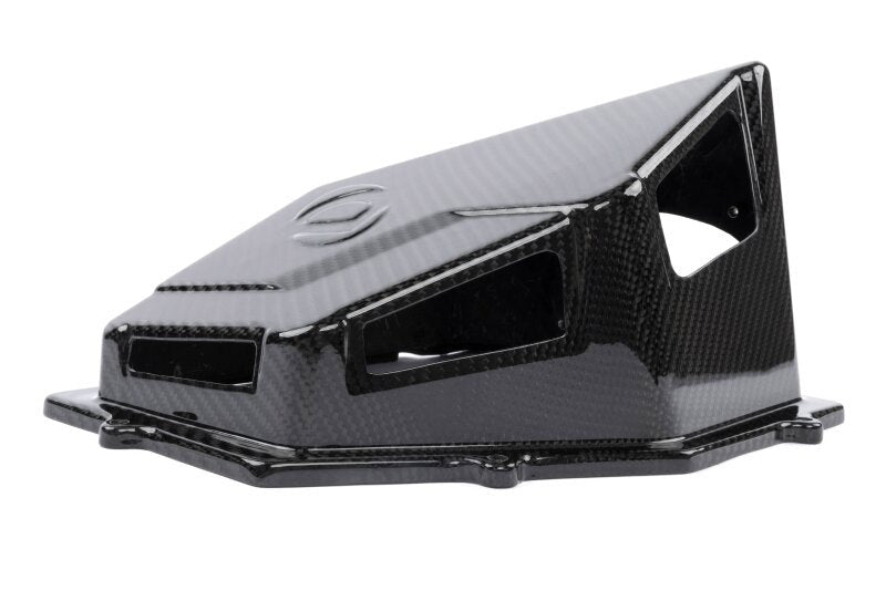 Dinan 16-26 BMW 540i/740i/840i/X5 40i/X6 40i (G05/G06/G12/G15/G16/G32) Carbon Fiber Cold Air Intake