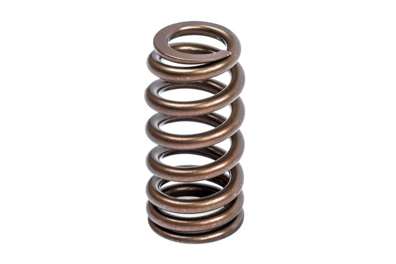 APR Audi/Bentley/Lamborghini/Porsche/Volkswagen Valve Spring Kit - Single