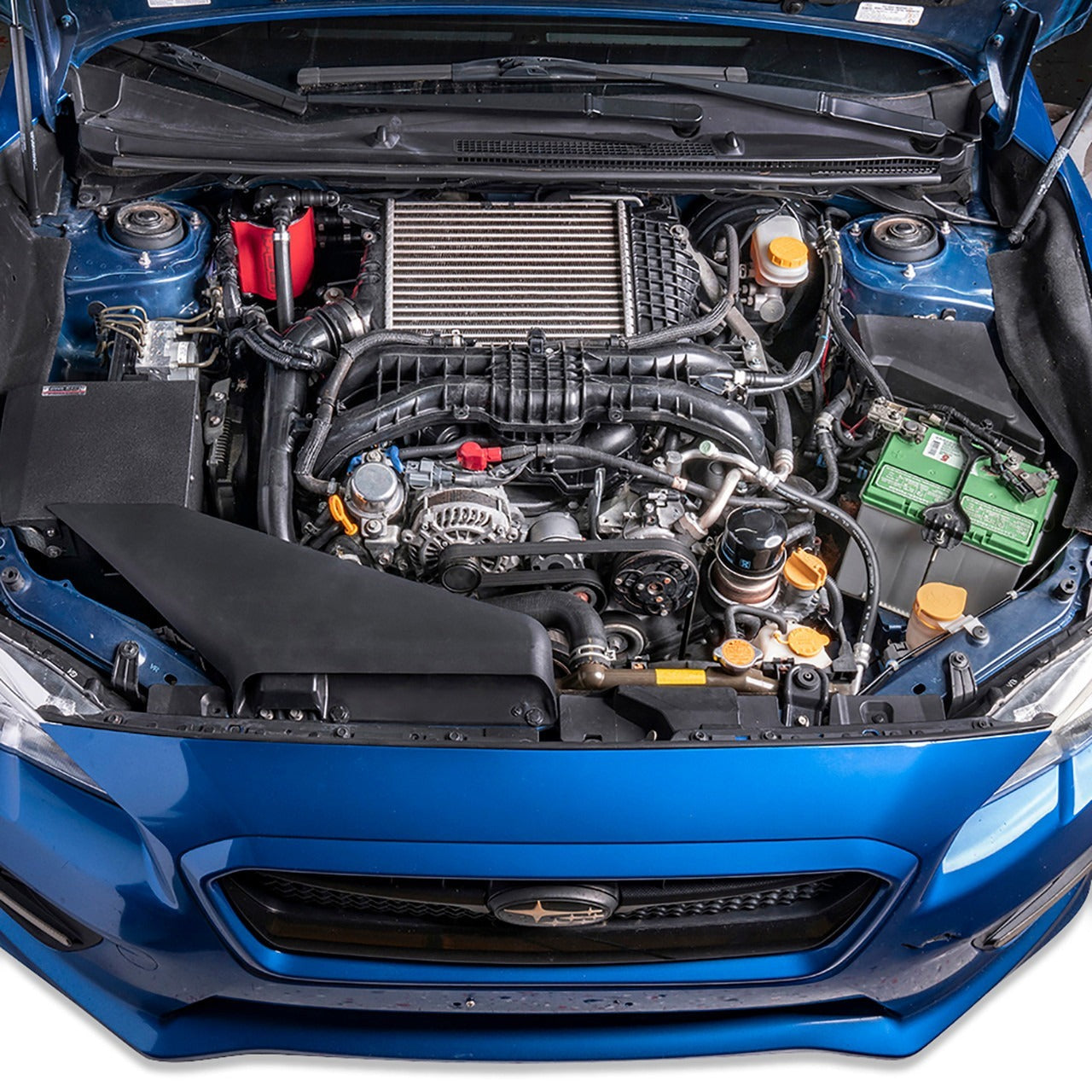 IAG Performance Air Oil Separator AOS - Red - 2015-2021 Subaru WRX / 2014-2018 Forester XT