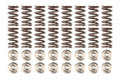 Brian Crower Single Spring/Titanium Retainer Kit - Subaru Models (inc. 2002-2014 WRX / 2004-2021 STI)