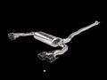 Akrapovic Evolution Link Pipe Set Stainless Steel for 2020+ Mercedes-Benz A45/A45 S AMG (W177/H247) - L-ME/SS/3