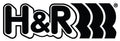 H&R 2.0in ID Single Race Spring - 4in Length - 975lbs/in Spring Rate - 2113lbs Block Load