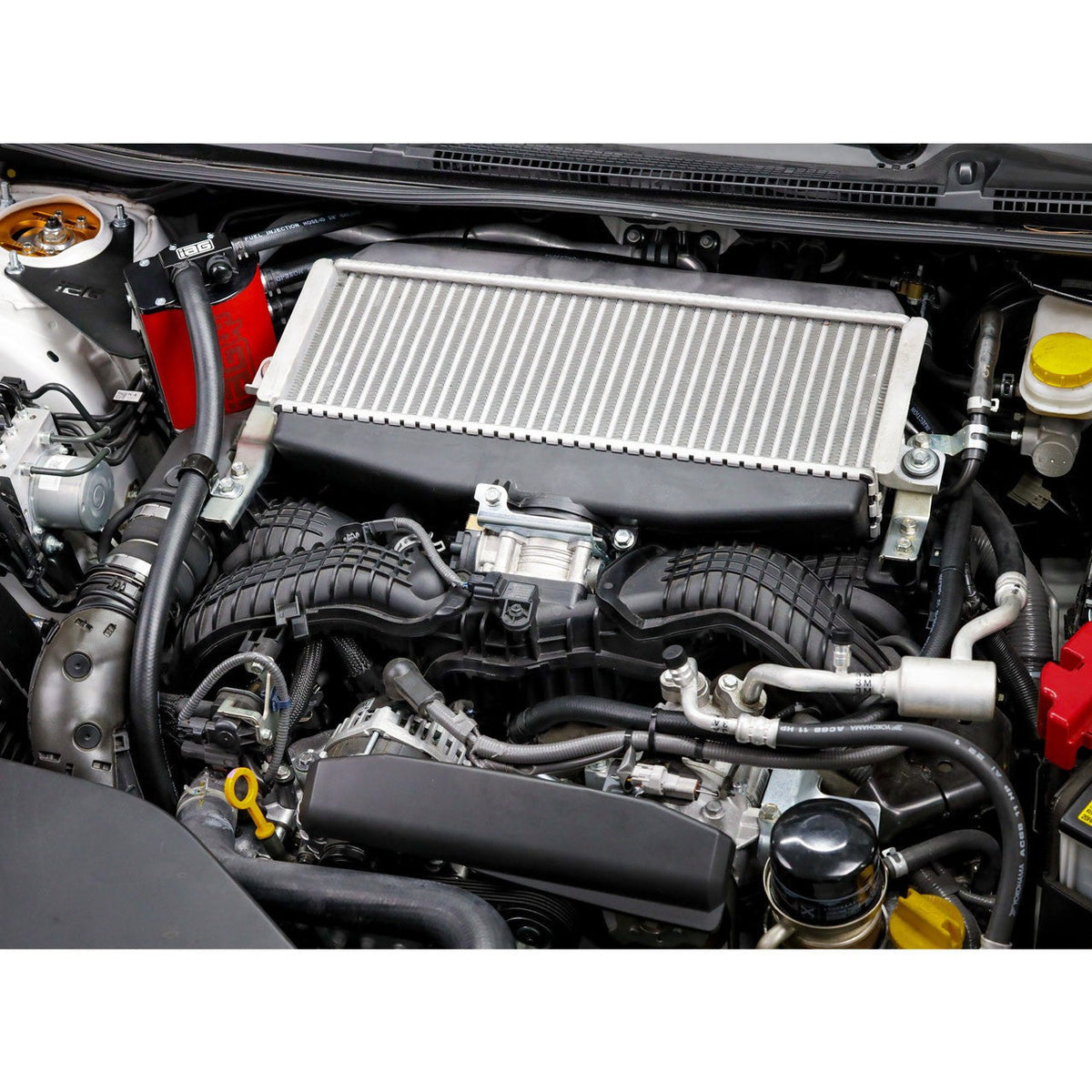 IAG Air Oil Separator AOS - Red - 2022-2024 Subaru WRX