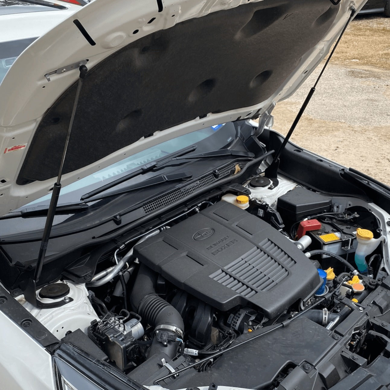 RIVAL Hood Lifts - 2019-2024 Subaru Forester