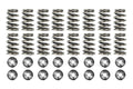 GSC Power-Division Single Beehive Valve Spring Set w/ Titanium Retainers - Subaru Models (inc. 2002-2014 WRX / 2004-2021 STI)
