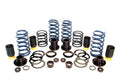 Dinan 12-16 BMW M5 (F10) Adjustable Coil-Over Suspension System