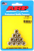 ARP 5/16-18 12PT Nut Kit SS - 10 PK