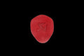 Akrapovic Leather Headphones Case - Red - 801728
