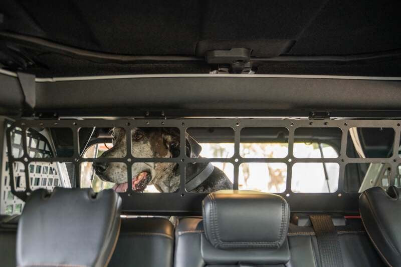 DV8 Offroad 2021-2024 Ford Bronco Dog Barrier