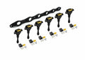 Haltech Nissan RB20/25/26 R35 Coil Bracket - includes Bracket Coils & Connectors