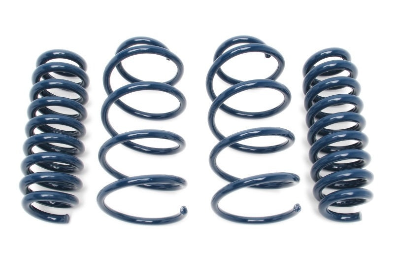 Dinan 07-13 BMW 328i/335i (E90/E93) Performance Spring Set