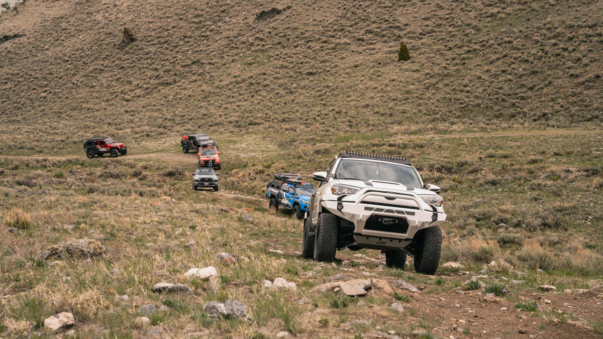 5th Gen Toyota 4Runner Side Steps 10-22 4Runner CBI Offroad